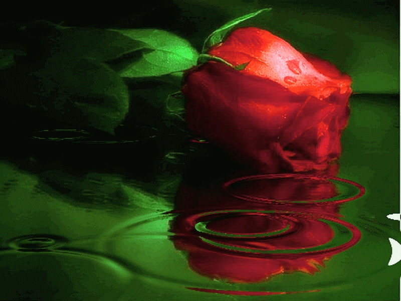 🔥 [45+] My Desktop Wallpapers Disappeared WallpaperSafari