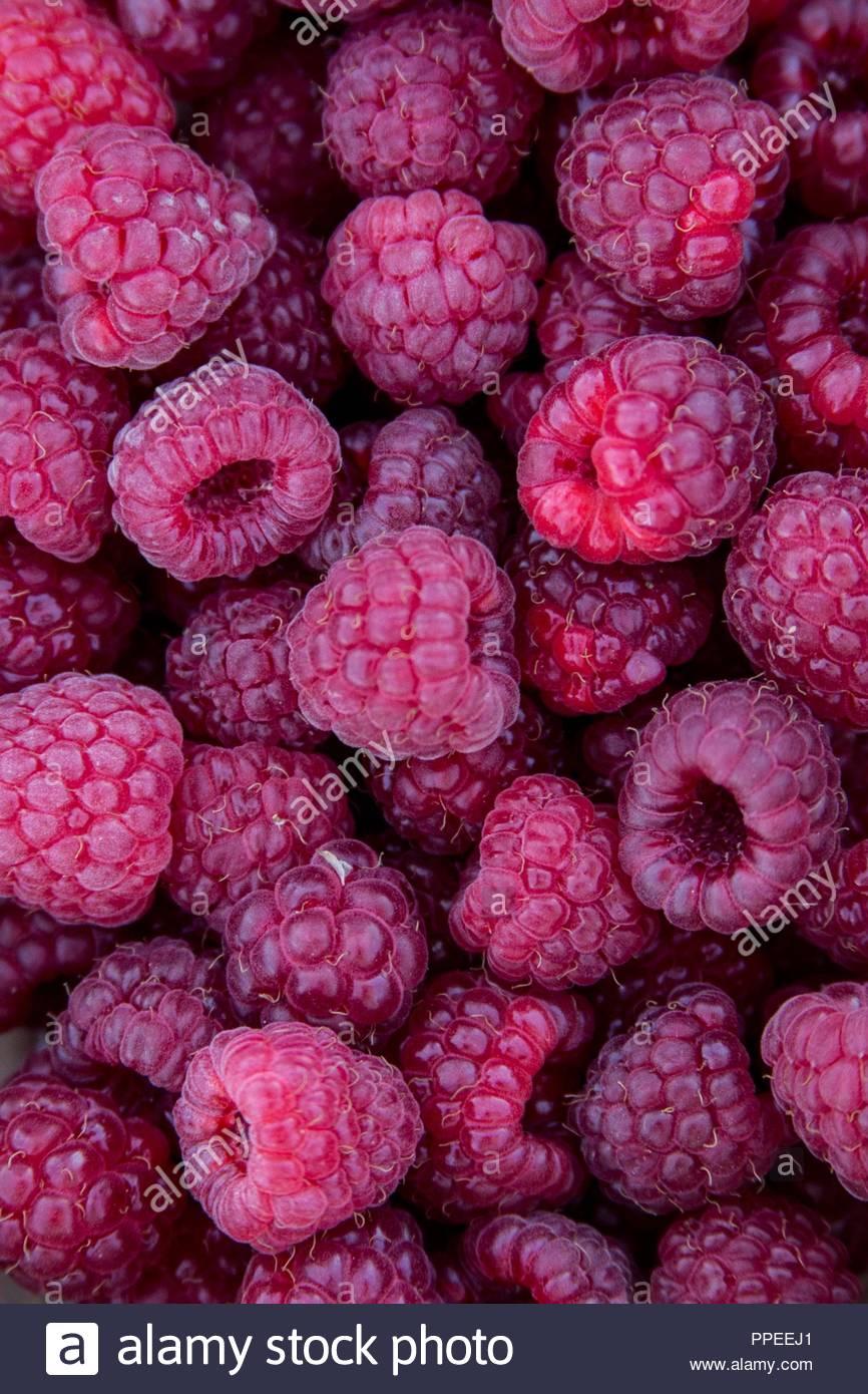 Raspberries Background Stock Photo