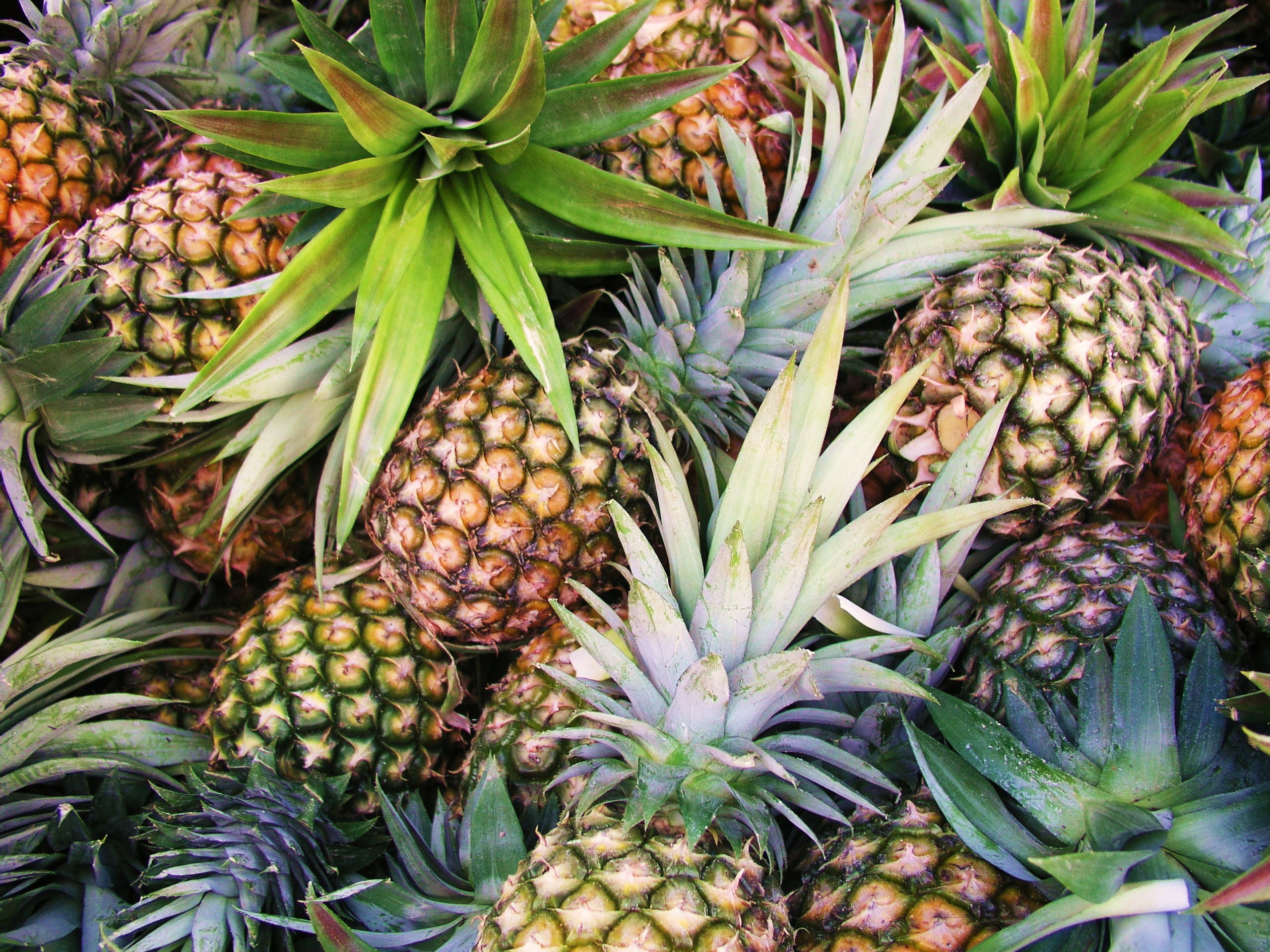 Pineapple Wallpaper Image Photos Picture