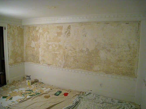 47 Preparing Walls For Paint After Wallpaper On Wallpapersafari - How To Prep Wall Paint Over Wallpaper