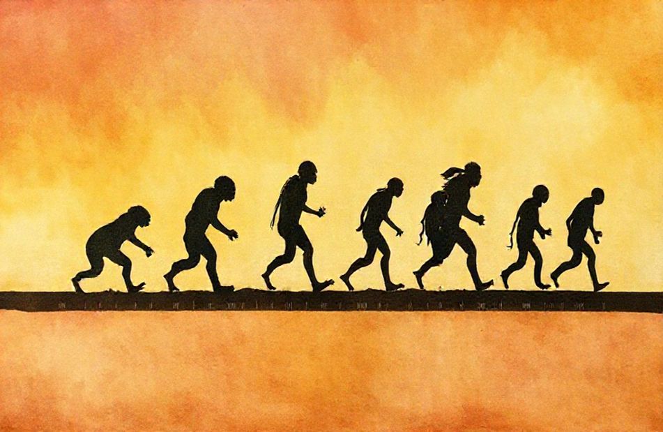 Human Evolution Wallpaper