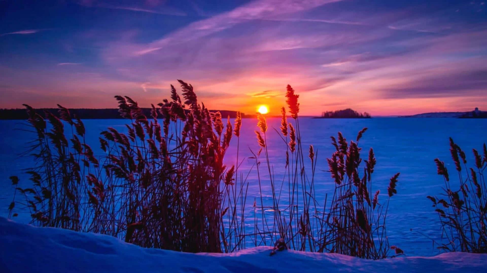 Winter Sunset In 4k Background Wallpaper
