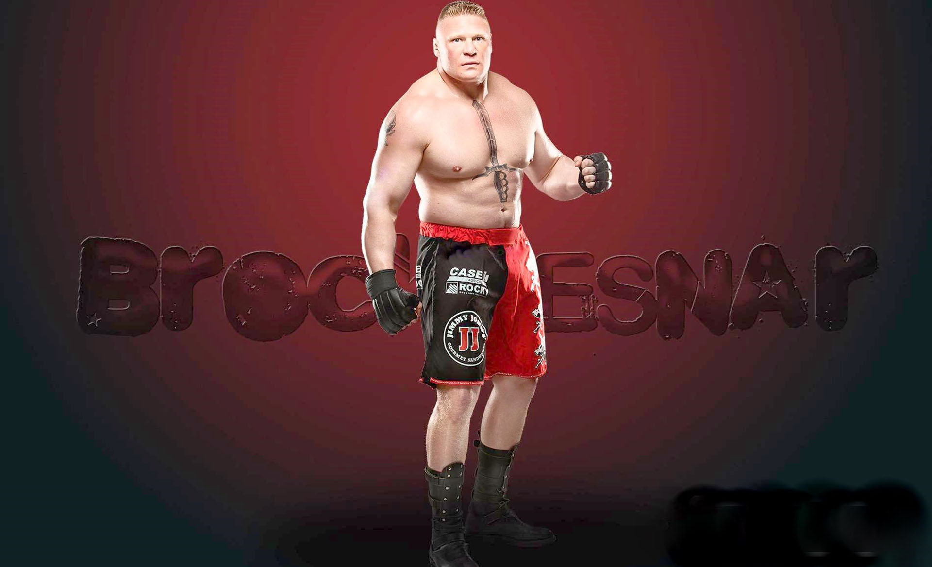 Brock Lesnar HD Wallpaper Daily Background In