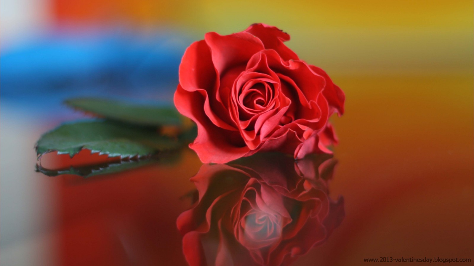 Rose Day HD Wallpaper And Red Pictures