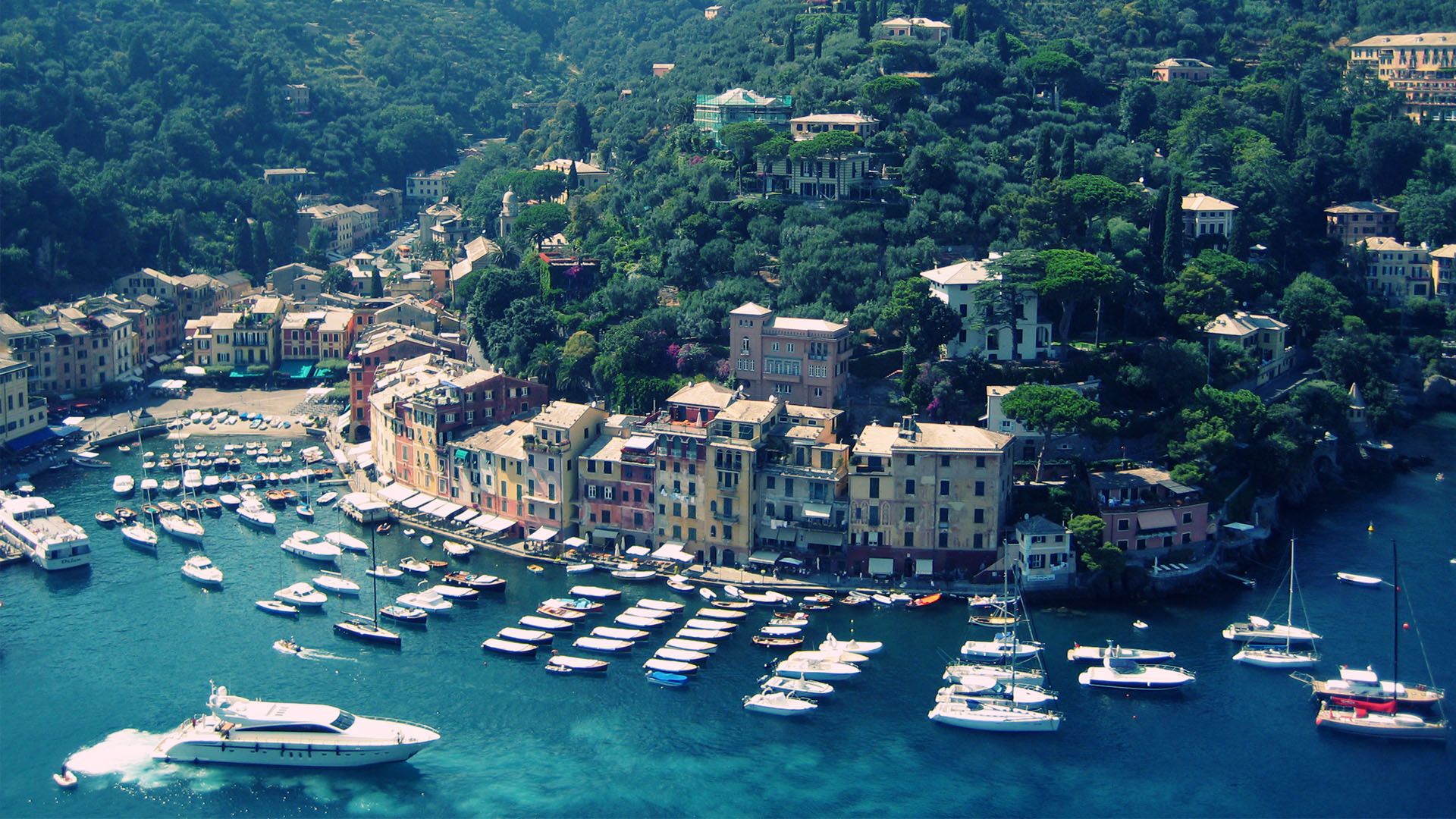 Portofino, , bay, sea, Riviera di Levante, summer, Liguria, Italy for with  resolution . High Quality, HD wallpaper | Peakpx