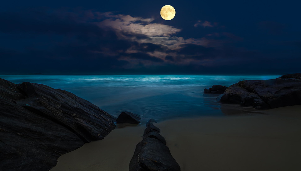 Rocks The Full Moon Night Beach Sea Desktop