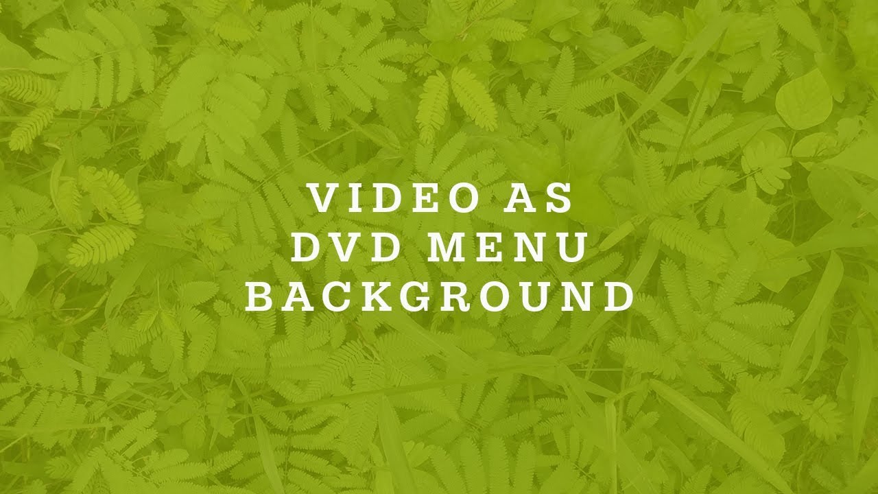 Make Video As Dvd Menu Background In Dvdstyler