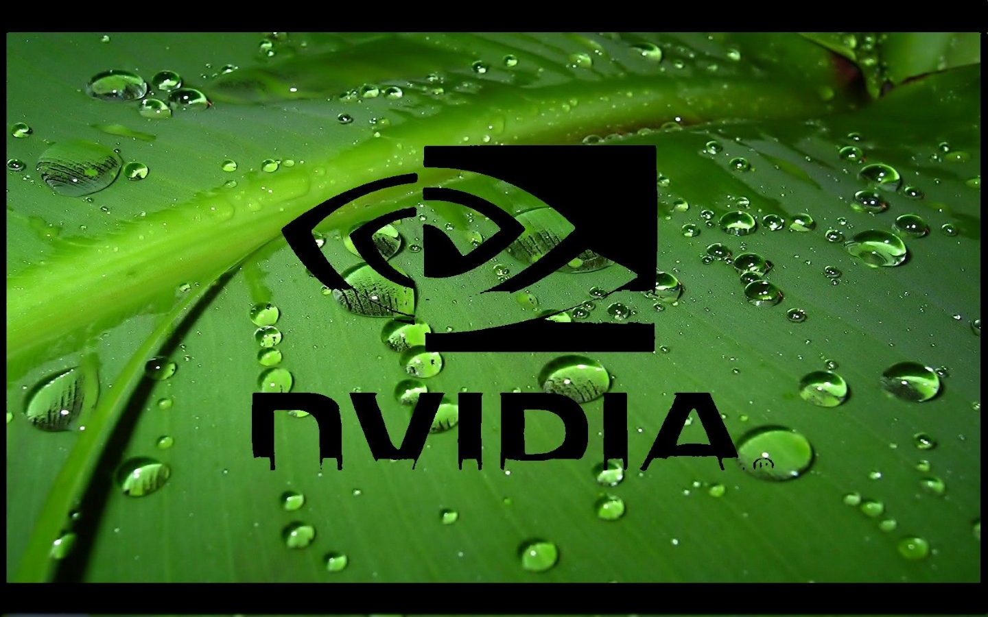 Puter Nvidia Logo Desktop Wallpaper Nr By Ehinopsis