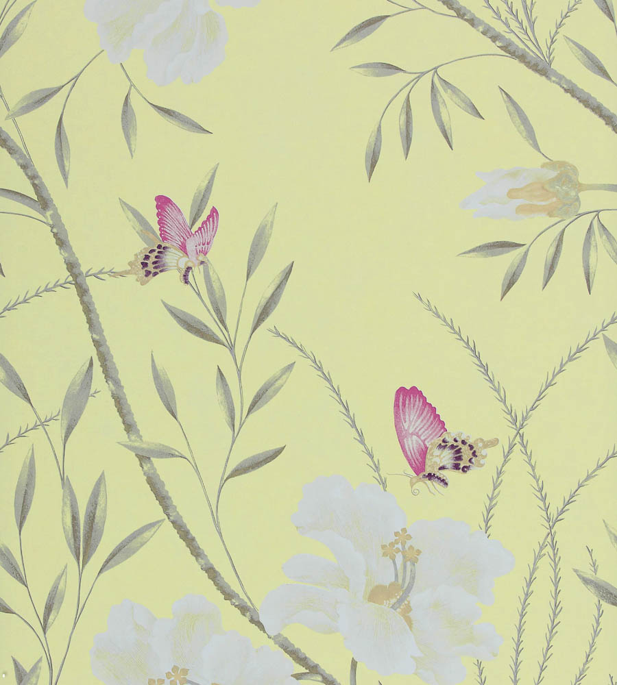 Papillon Wallpaper by Harlequin Jane Clayton 900x1000