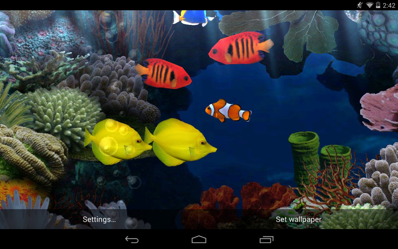 Clownfish Aquarium Live Wallpaper Auto Design Tech