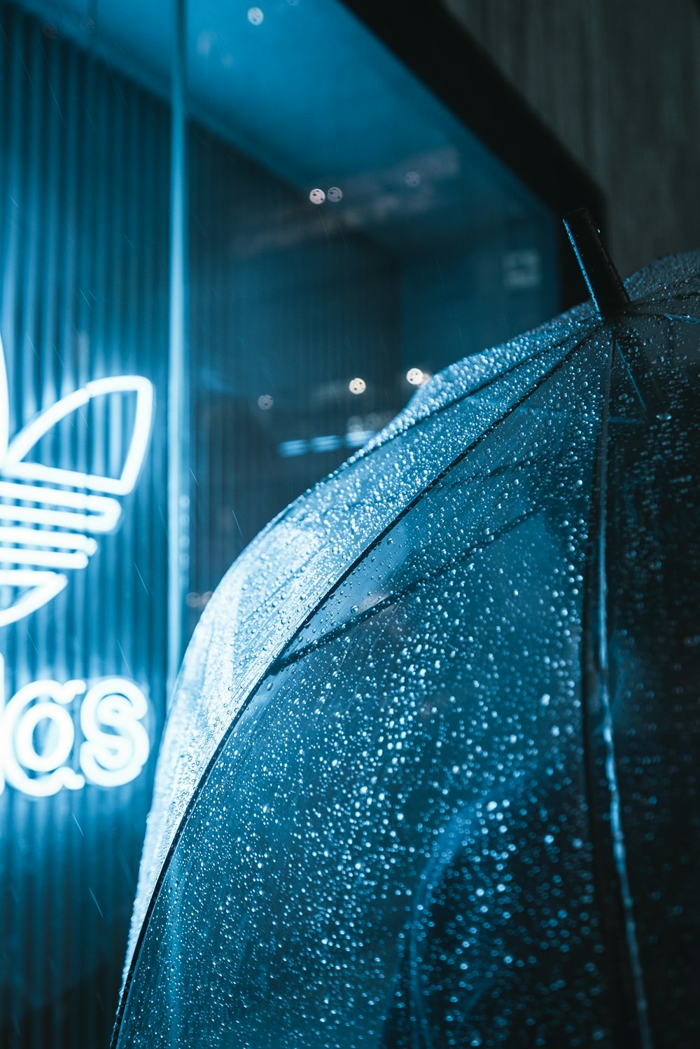 Adidas Neon Signage Photo Rainy Image