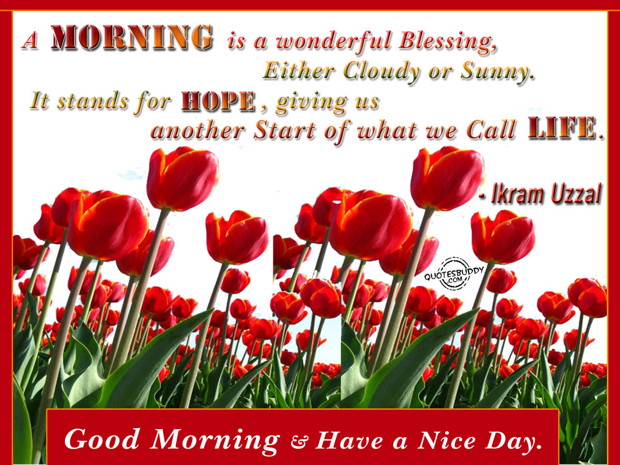 Good Morning Blessing Quotes HD Wallpapers