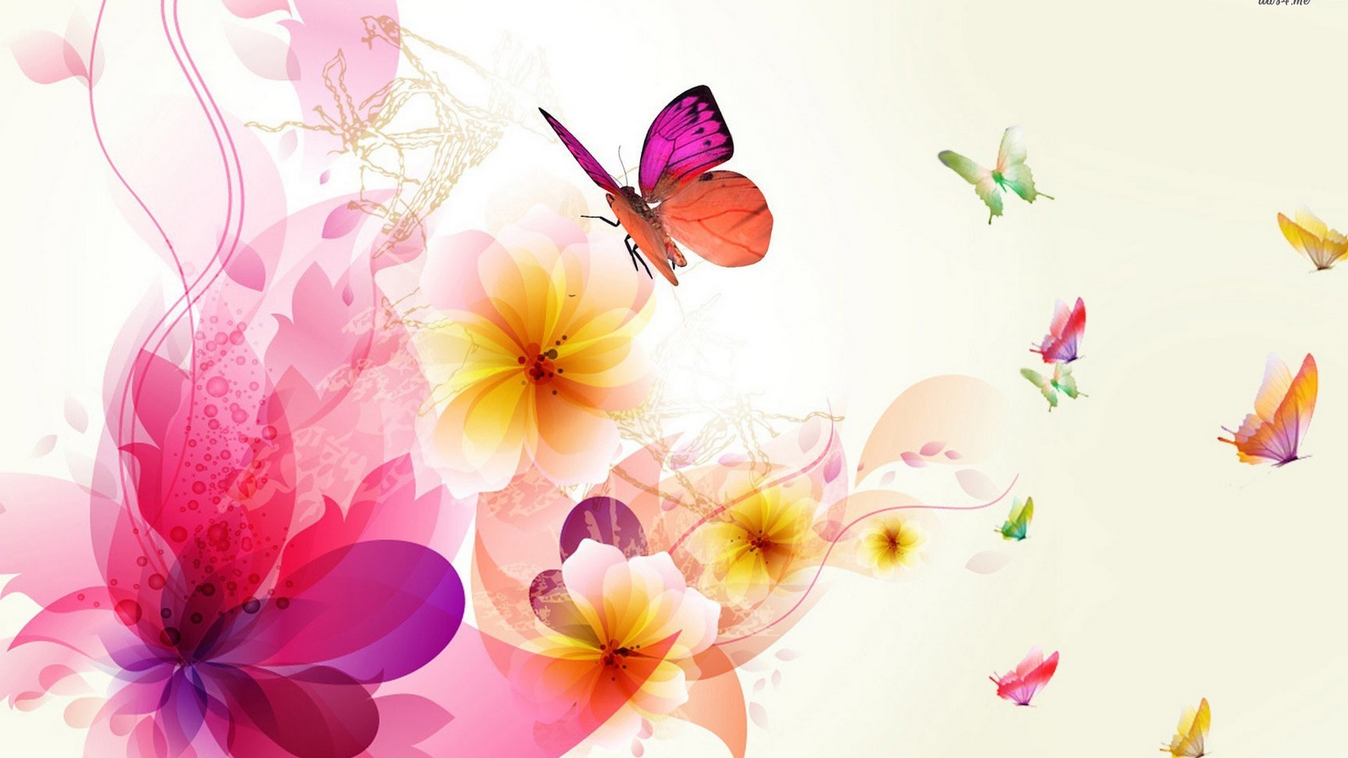 Pink Butterfly Desktop Background HD Cute Wallpaper