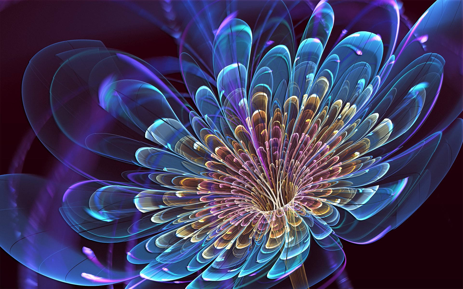 3D Blooming Flower Widescreen HD Wallpaper 1920x1200