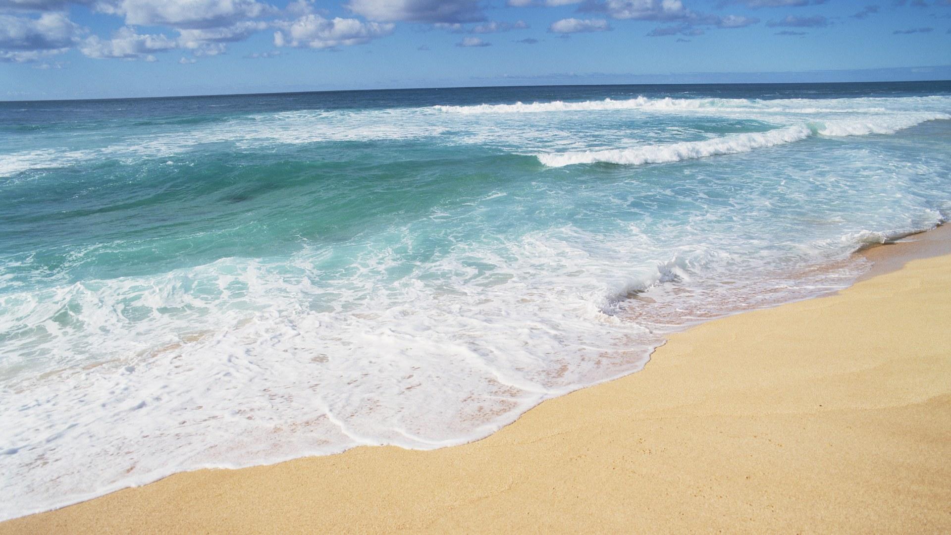 Hawaii Beach Shores HD Wallpaper
