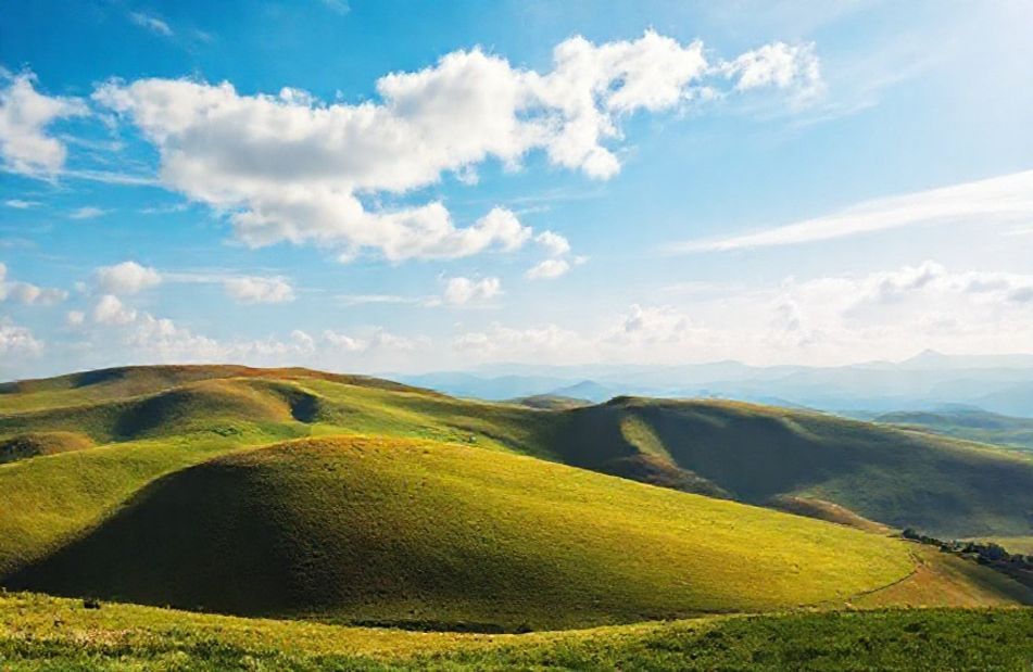 Official Windows Wallpaper