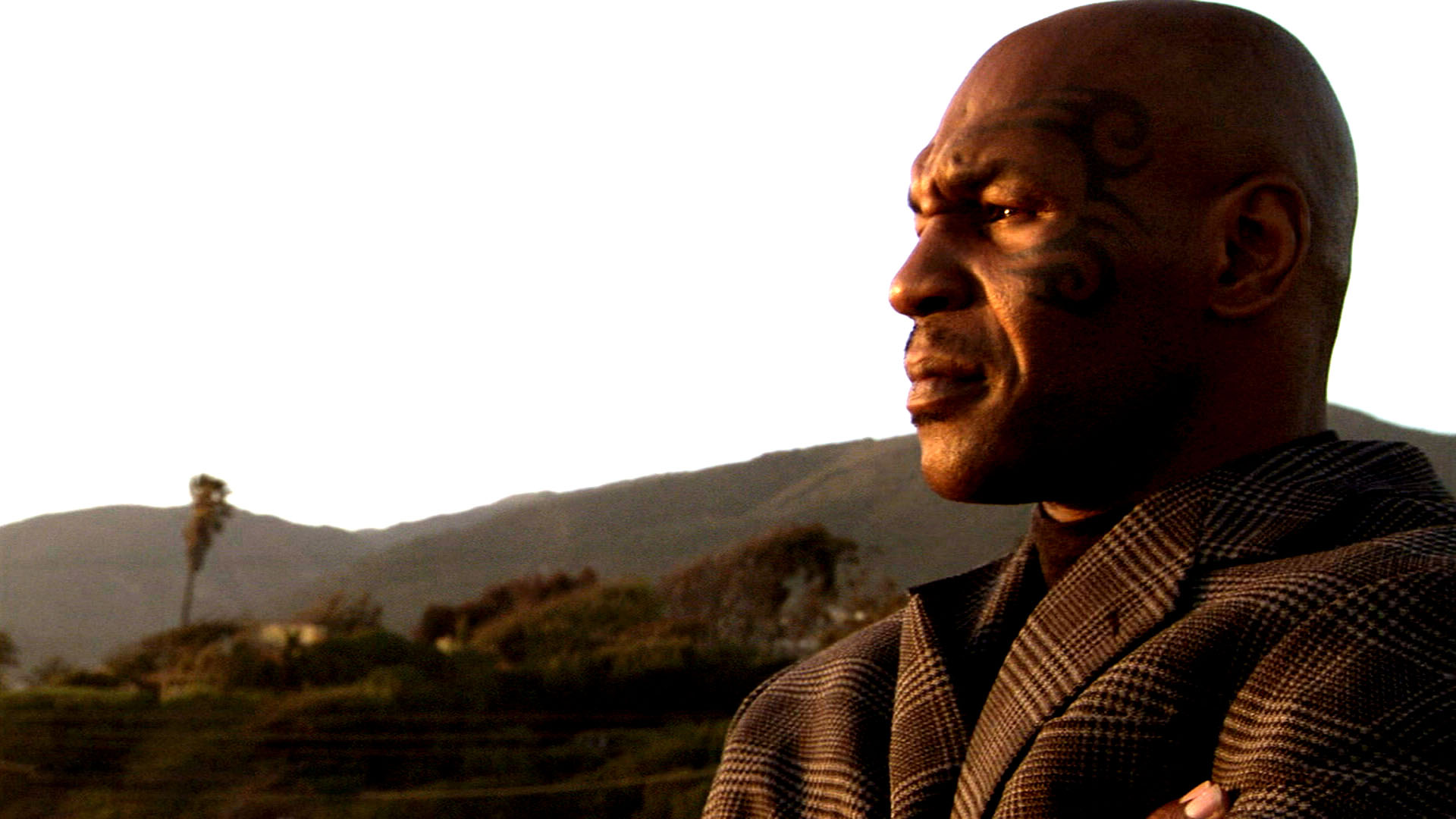 Mike Tyson Wallpaper High Quality