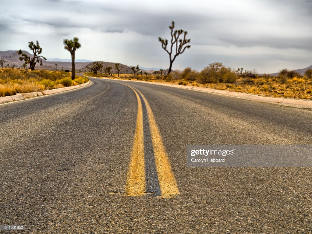 Curved Road With Yellow Line Markings And Joshua Trees In