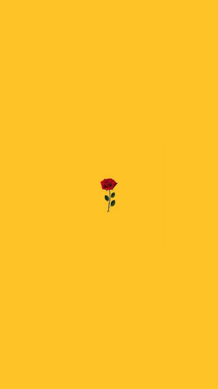 Yellow Aesthetic iPhone Wallpaper