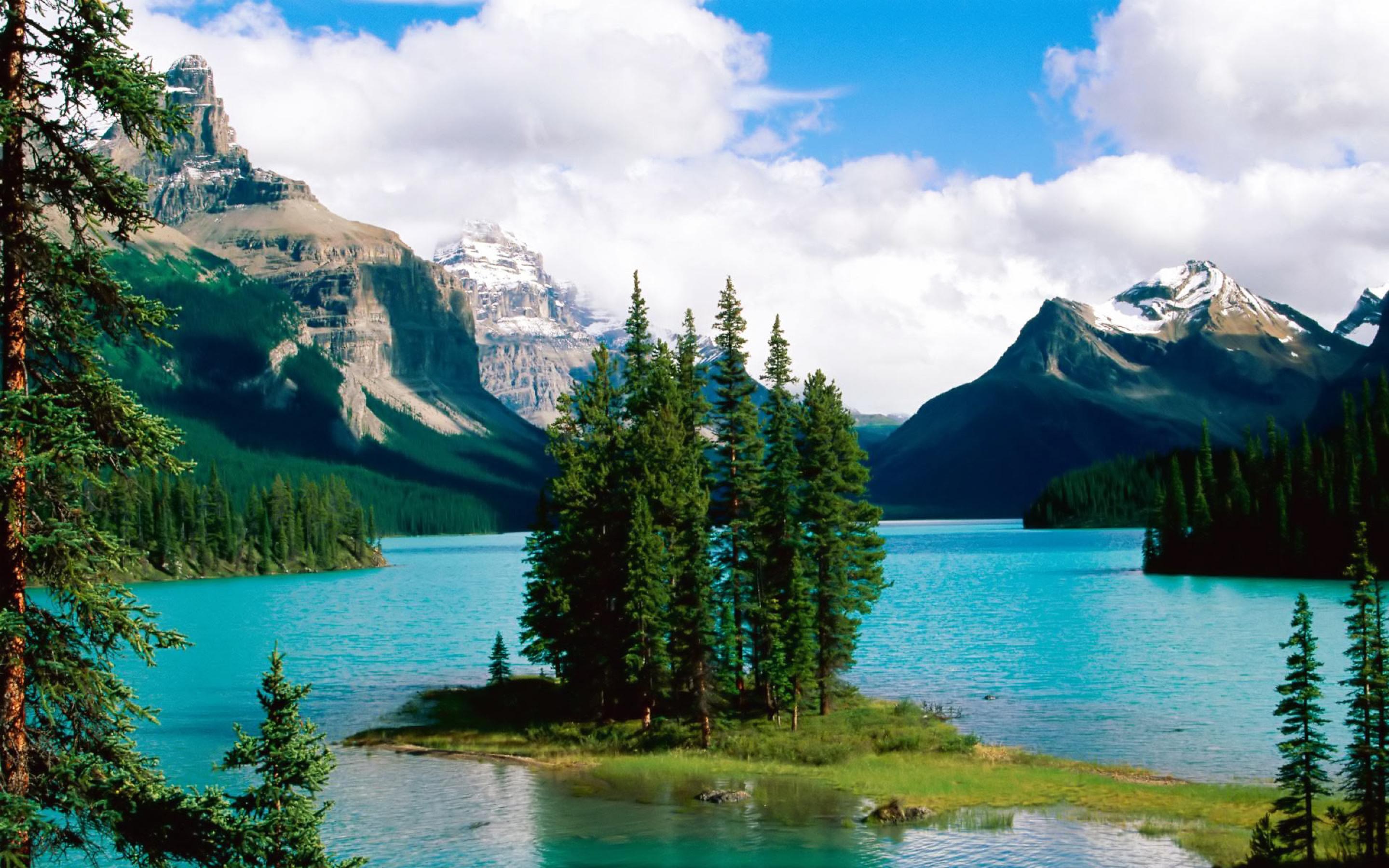 Scenic wallpaper of a pristine turquoise lake nestled amidst majestic snow-capped mountains and lush green pine trees