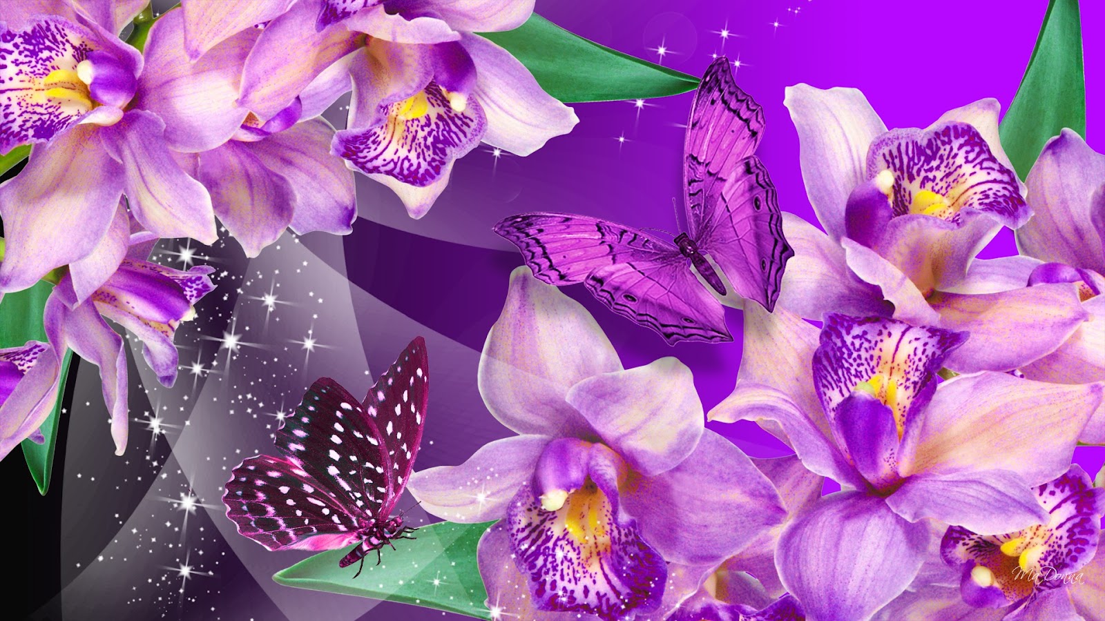 Hq Desktop Wallpaper Purple And HD Background