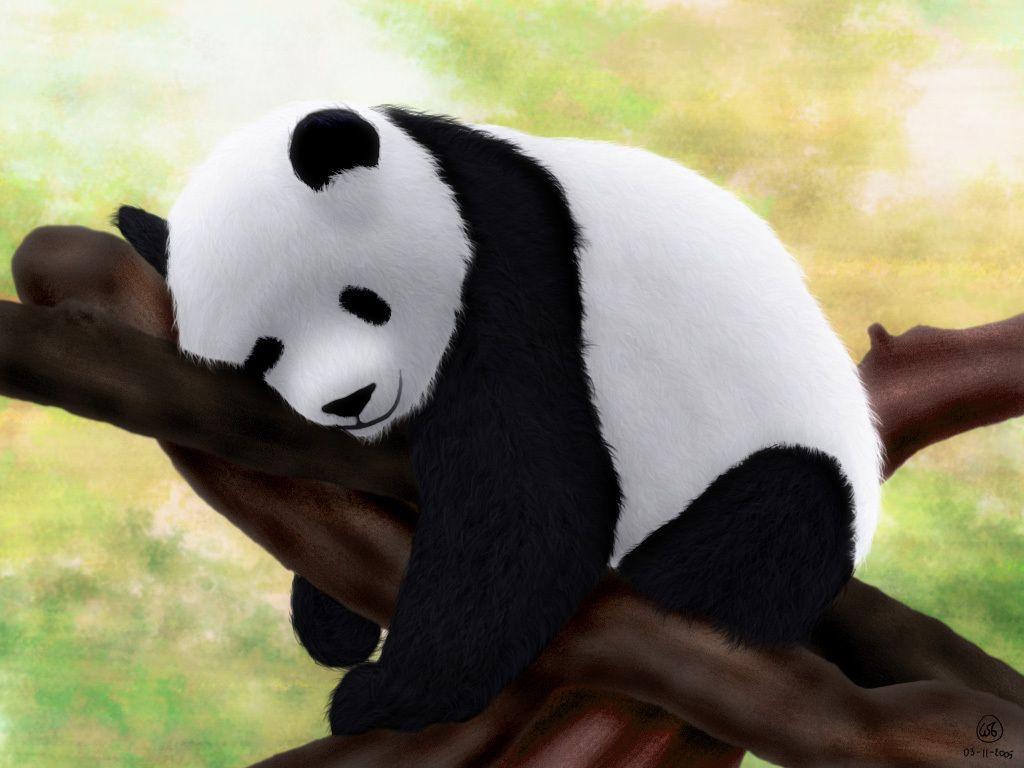 Baby Panda Stock Photos and Images - 123RF