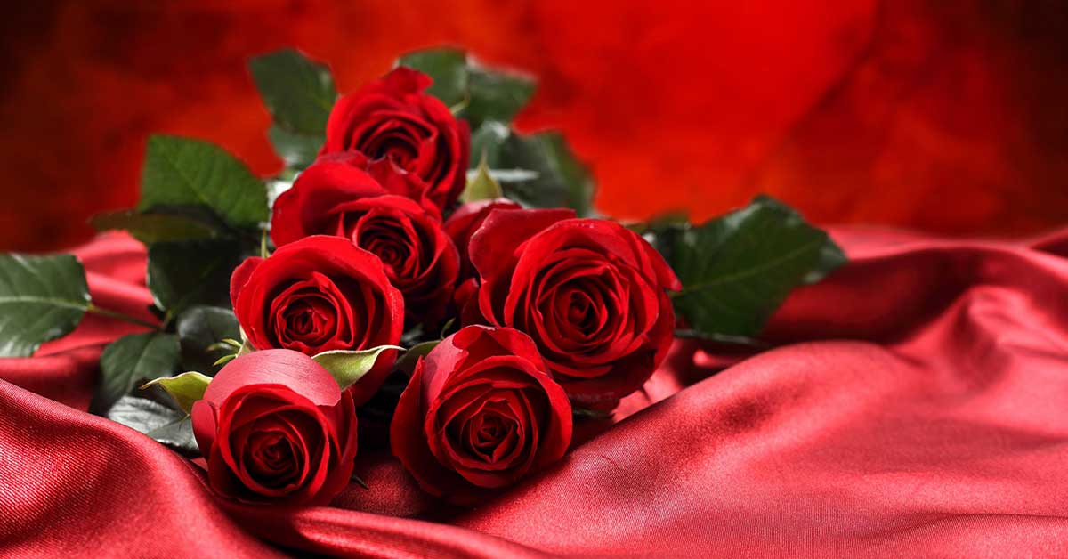 Red Rose Bouquet Wallpaper