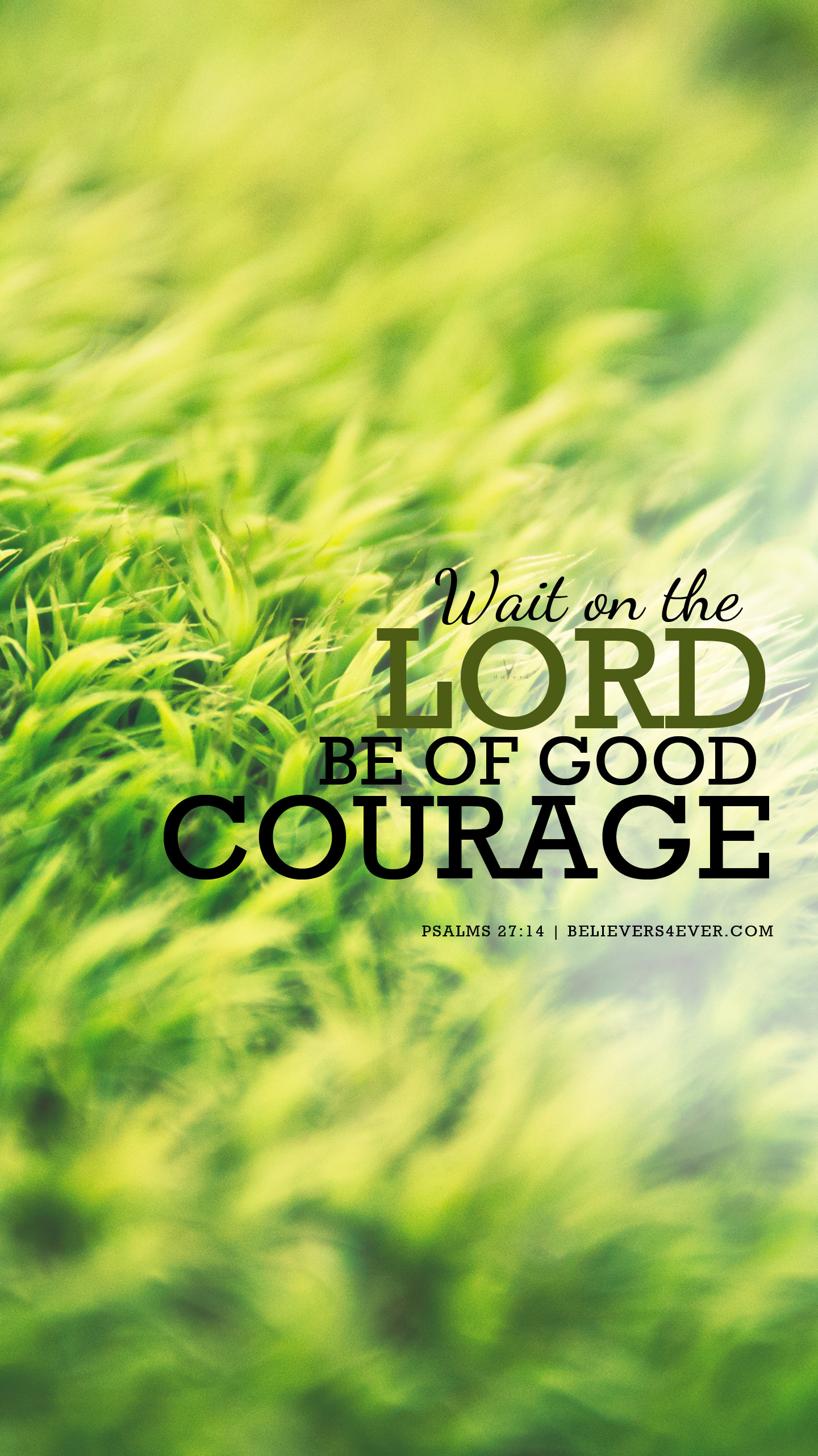 A blurred image of green grass with the Bible verse from Psalms 27:14 overlaid: 