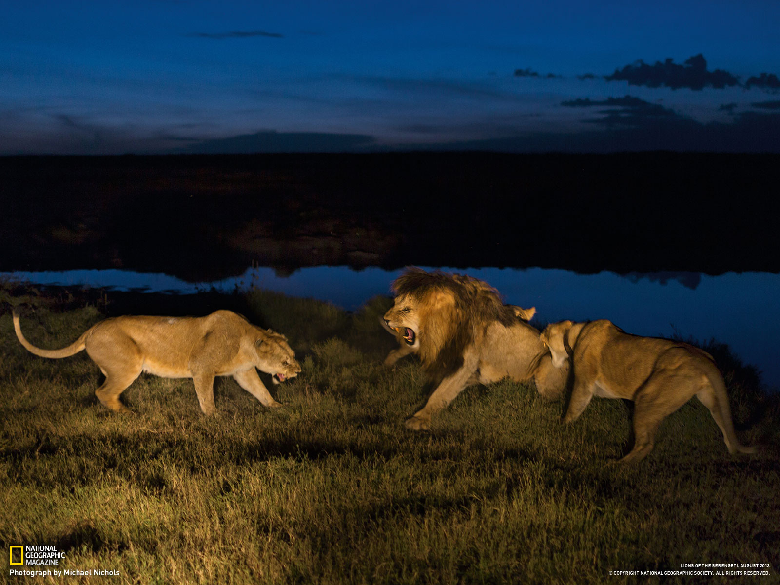 Photography Desktop Wallpaper National Geographic Magazine