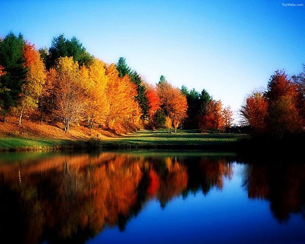 Pictures Of Autumn Scenes Holiday Ideas