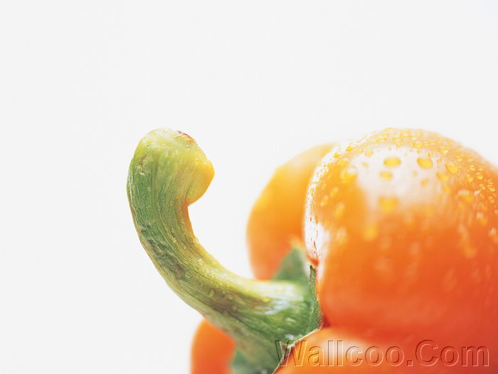 Artistic Fresh Vegetables Photography Fruits