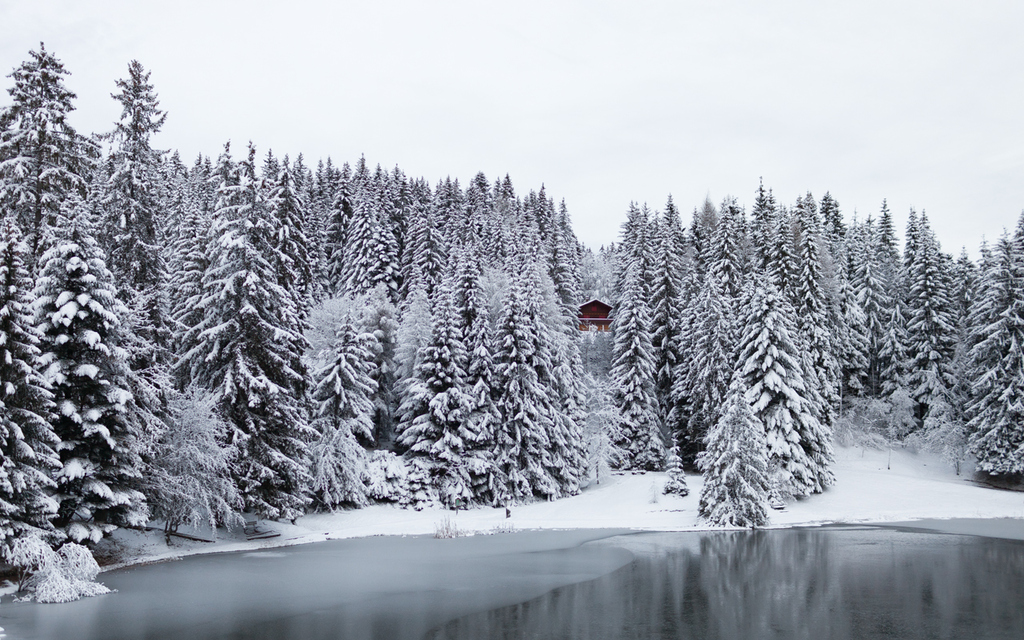 Small Lake In Switzerland Interfacelift