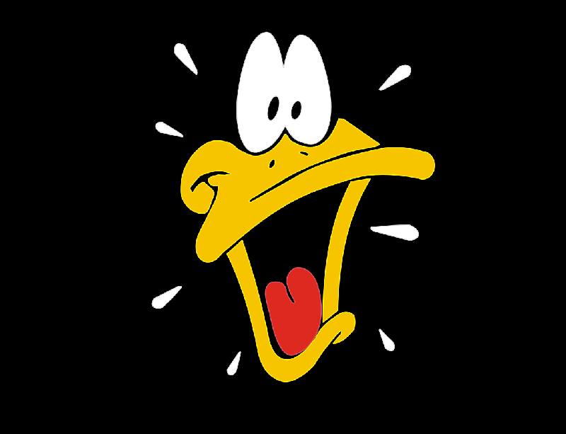 Looney Tunes Daffy Duck Character Wallpaper 800x613
