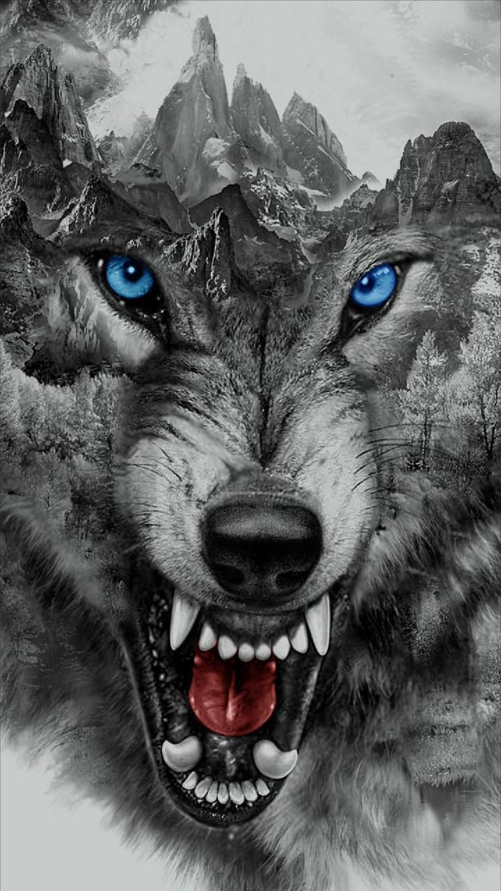 Angry Wolf Wallpaper By Georgekev Now