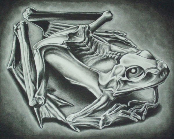 Mc Escher Wallpaper Frogs