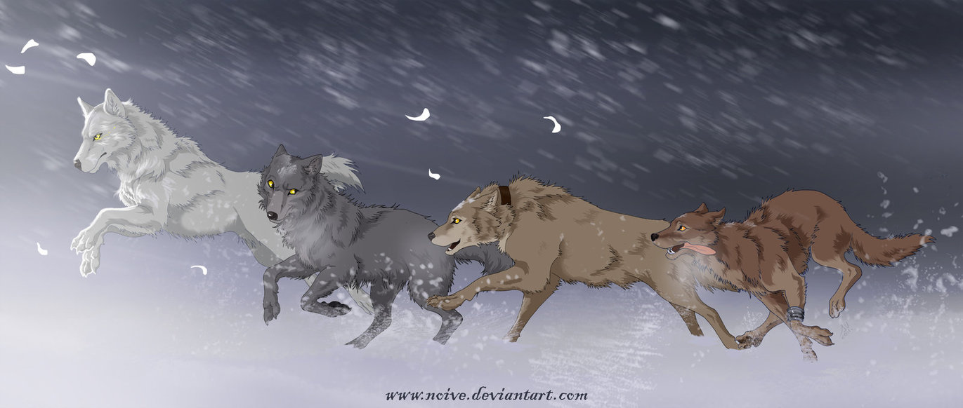 Wolfs Rain By Noive