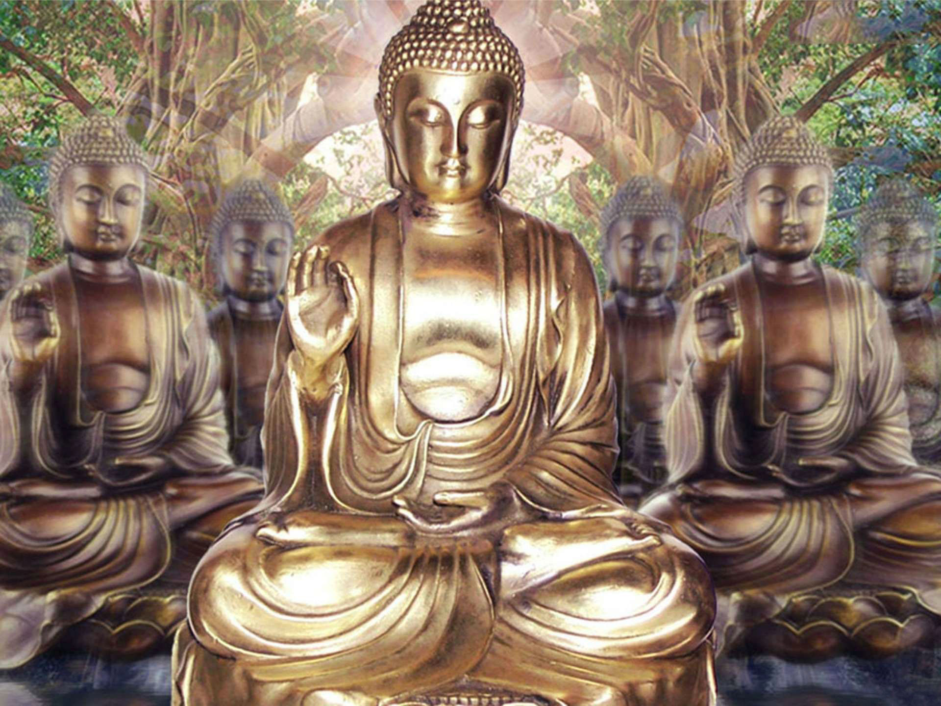 Gautam Buddha Wallpaper Photos Amp Image