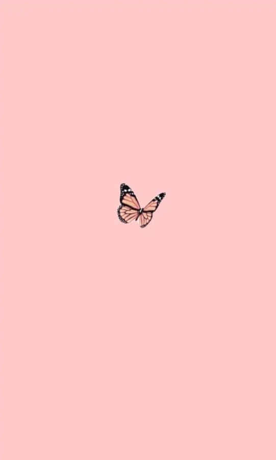Aesthetic Plain Wallpaper