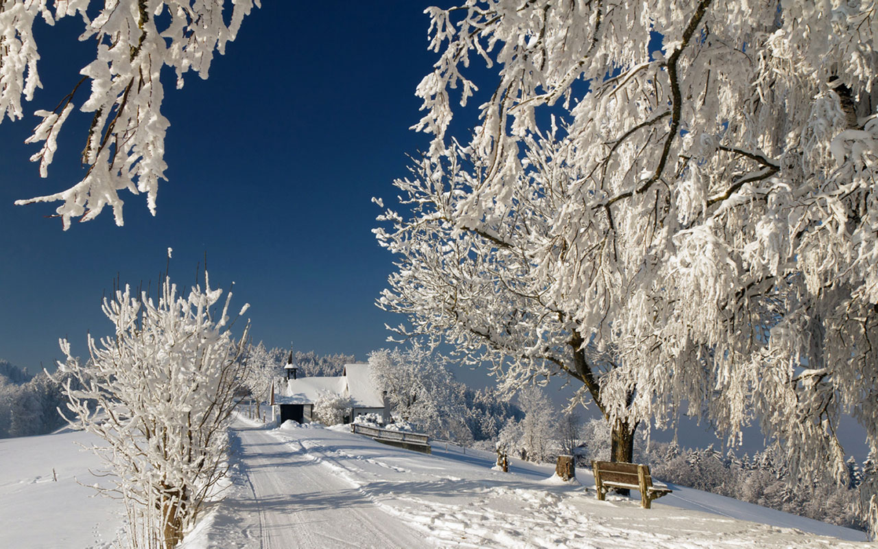 Beautiful Snow HD Wallpaper Landscape
