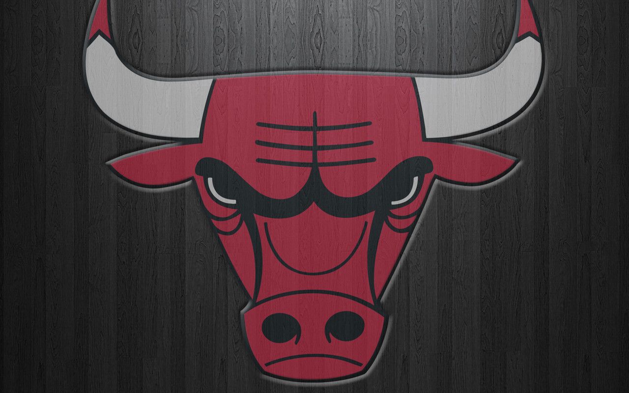 Stunning Chicago Bulls Logo Full Hd Backgrounds   Whatsapp