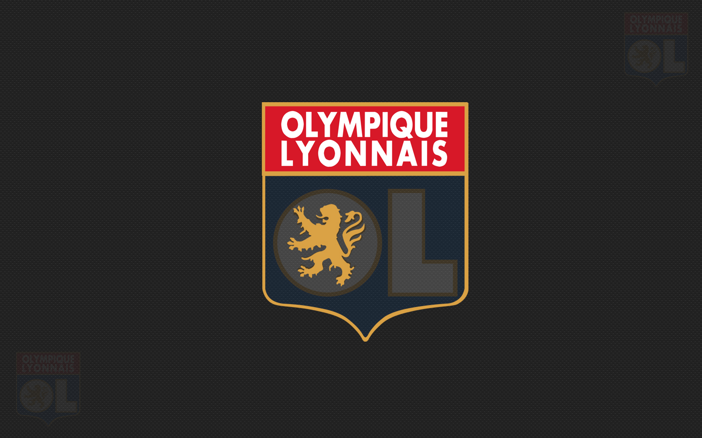 Olympique Lyonnais Wallpaper 8353bpq Wallpaperexpert
