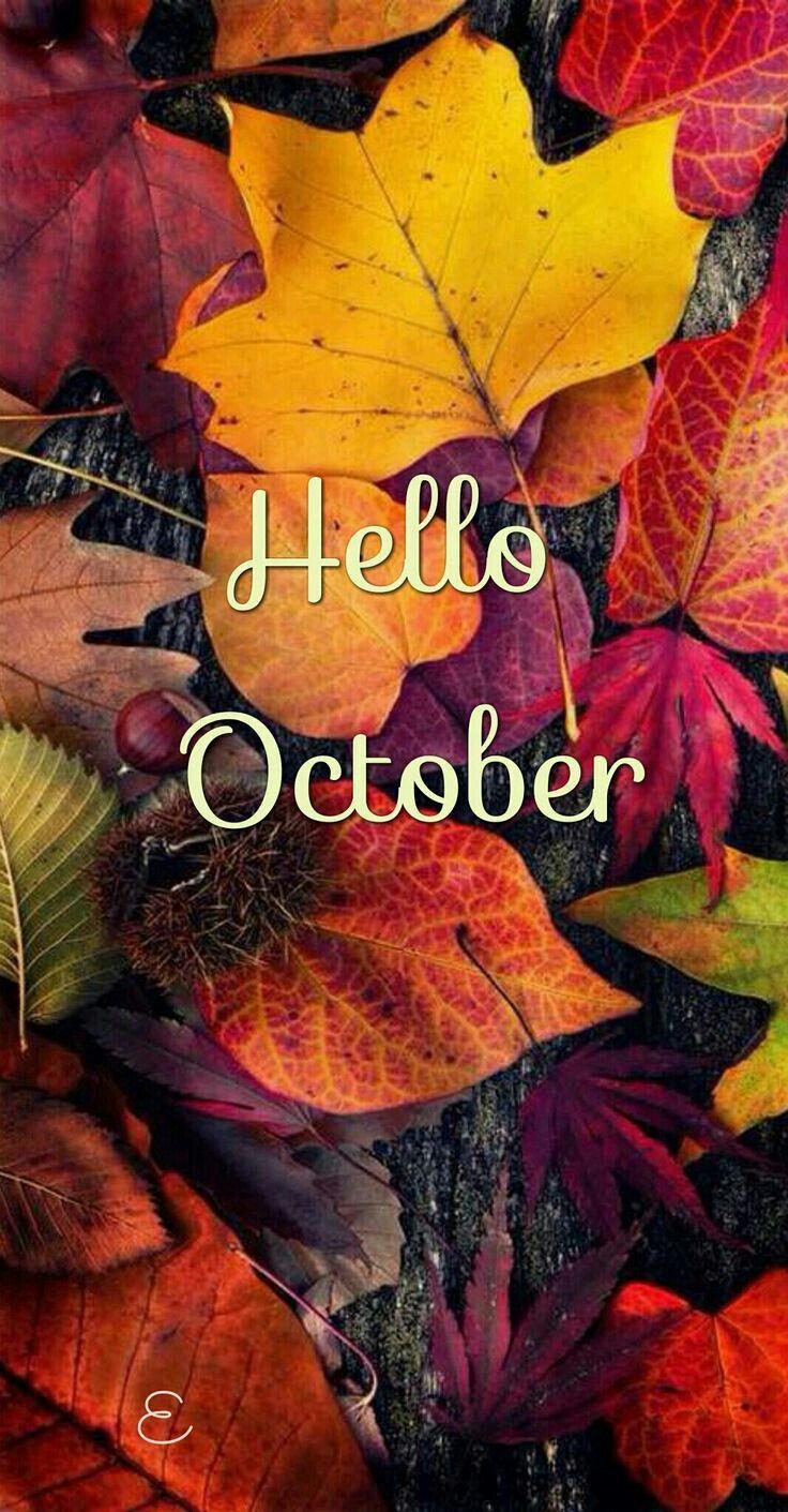 Hello October be kind Hello october Hello october images