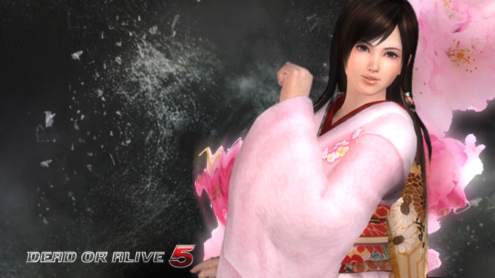 100 Dead Or Alive 5 Wallpapers On Wallpapersafari