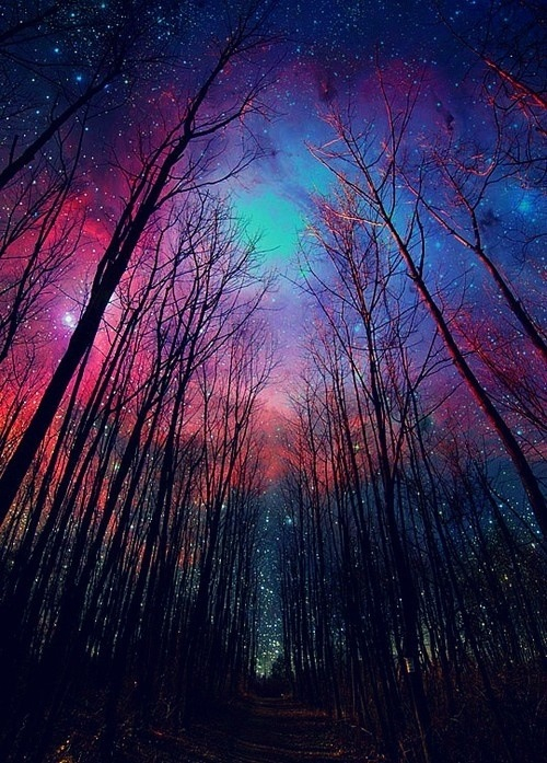 cute galaxy iphone wallpaper sky stars sweet trees image