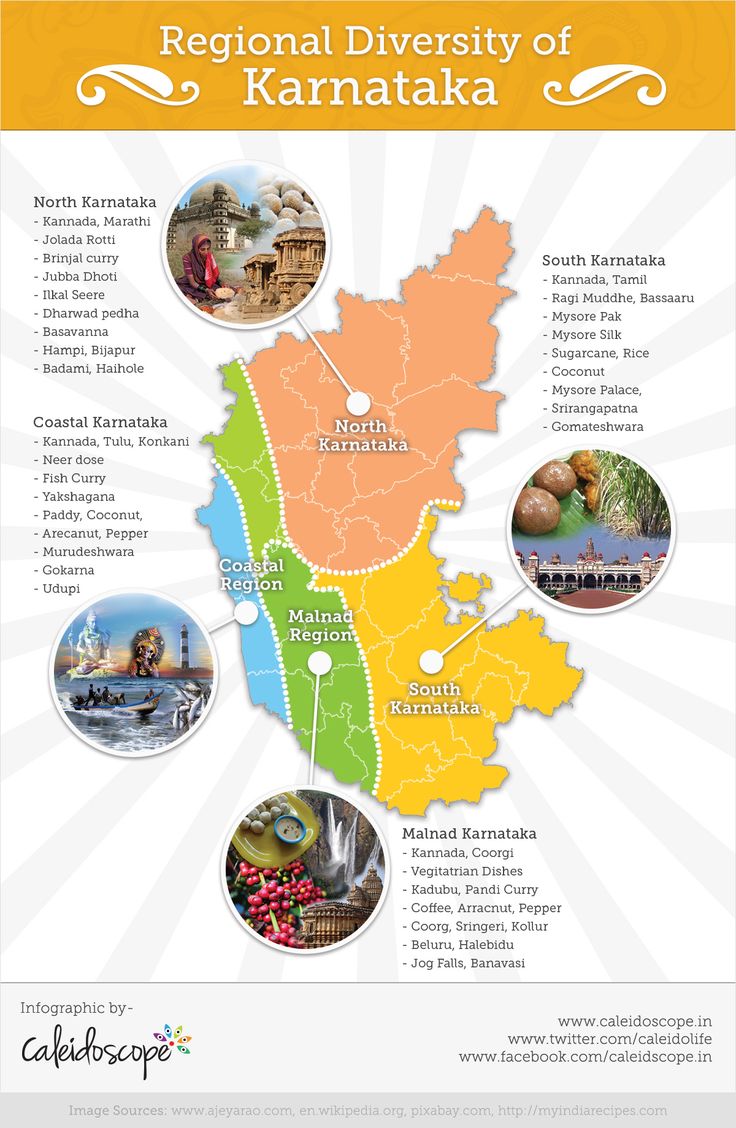 Understanding the Cultural Diversity of Karnataka [Infographic