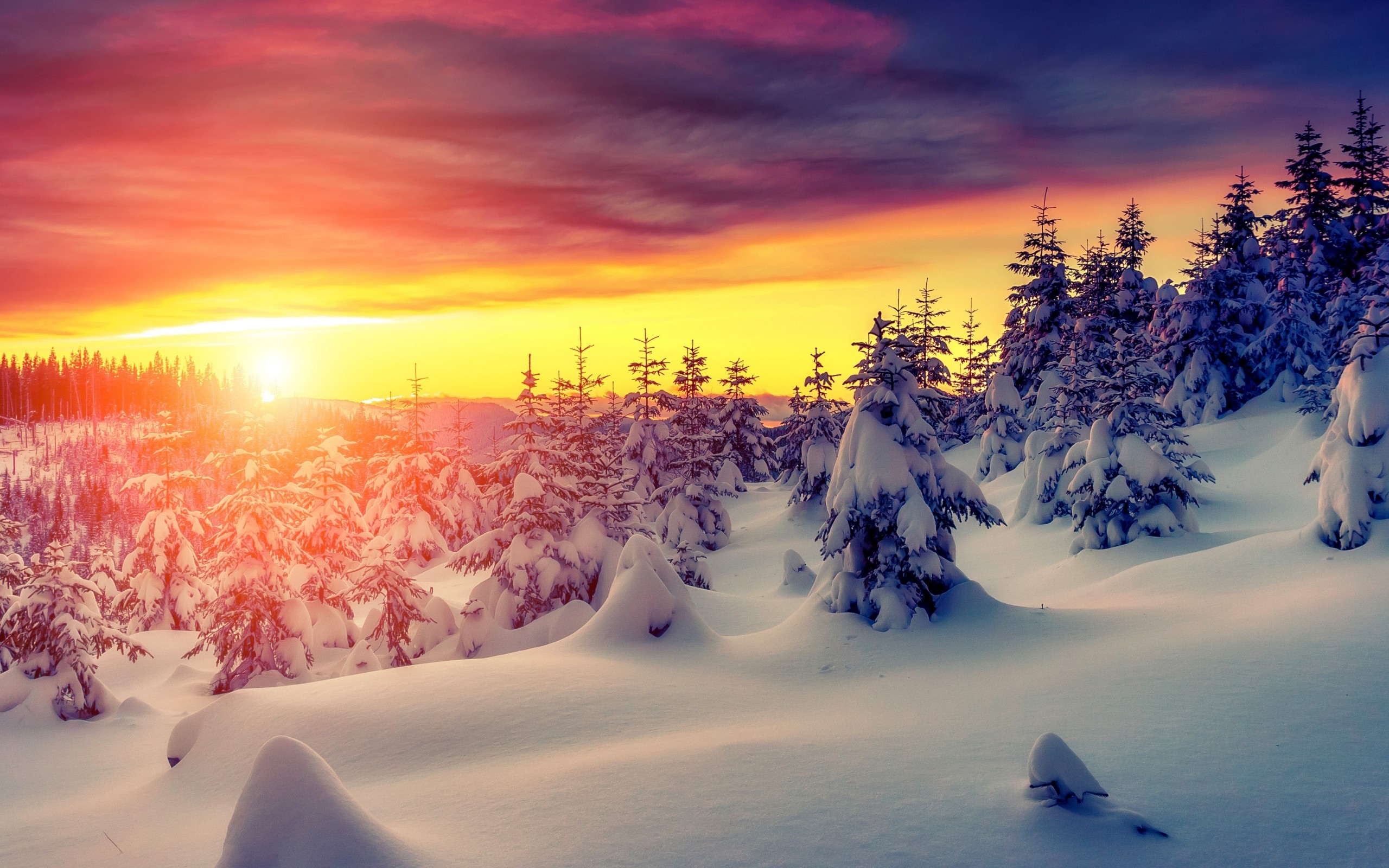 Nếu bạn muốn tìm kiếm một khung cảnh đẹp đến mê hồn thì không thể bỏ qua bức ảnh này. Hoàng hôn mùa đông với tuyết trắng phủ cả mặt đất, tạo nên không khí lãng mạn và thơ mộng. Bức ảnh này sẽ làm cho bạn muốn đắm mình trong đó mãi mãi.