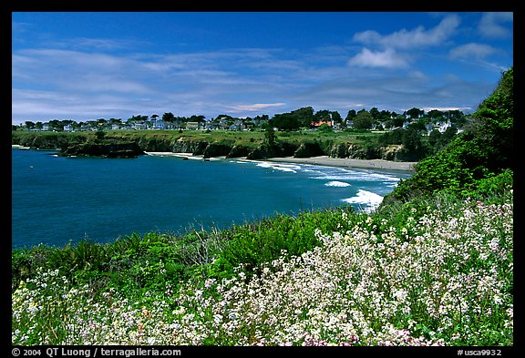 Wildflowefrs And Ocean Town On A Bluff Mendocino California Usa