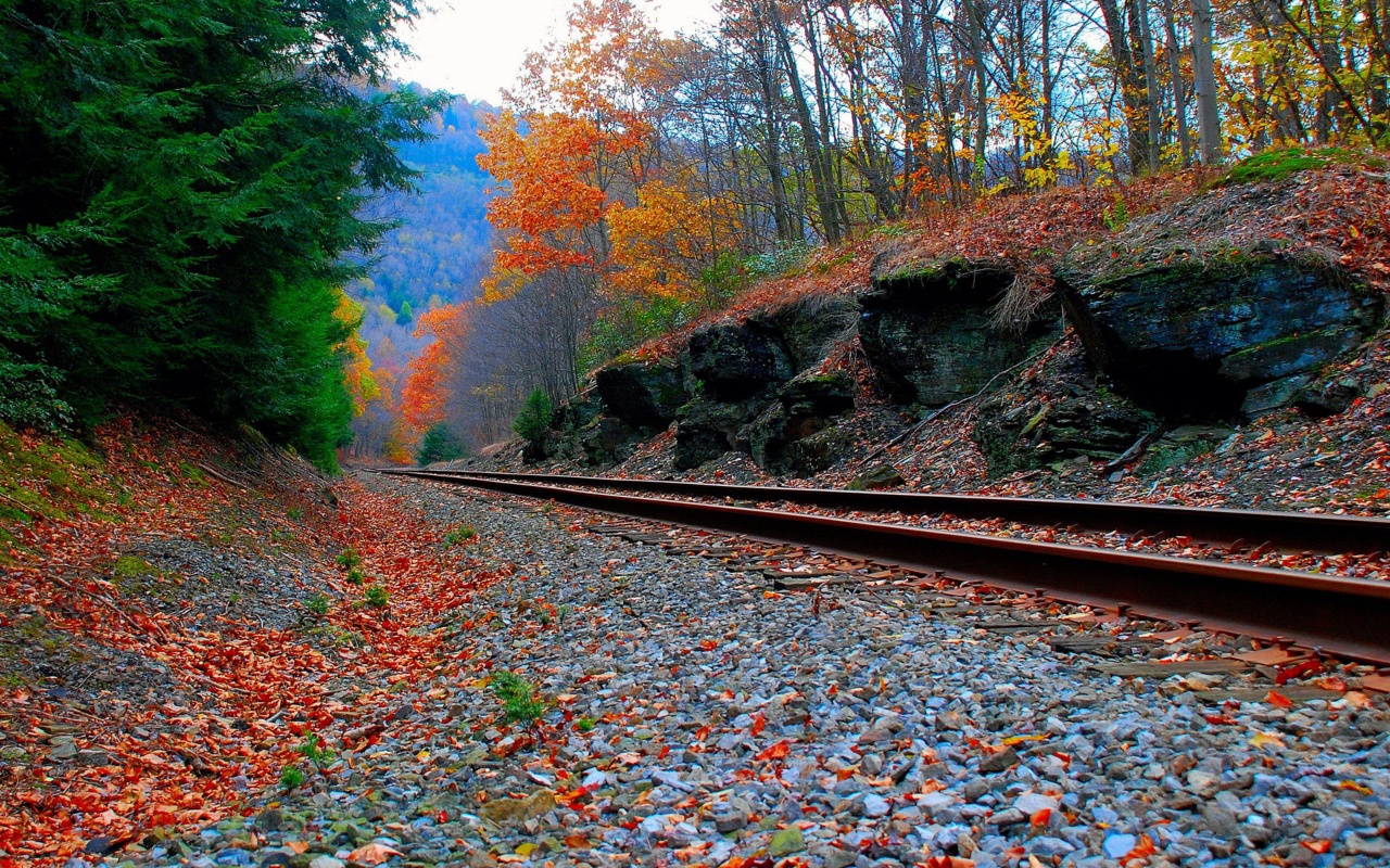 Autum Fall Train Journeys HD Wallpaper Widescreen