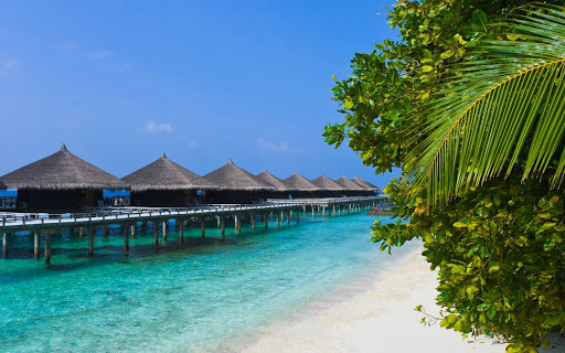 Water bungalows on a tropical island travel background