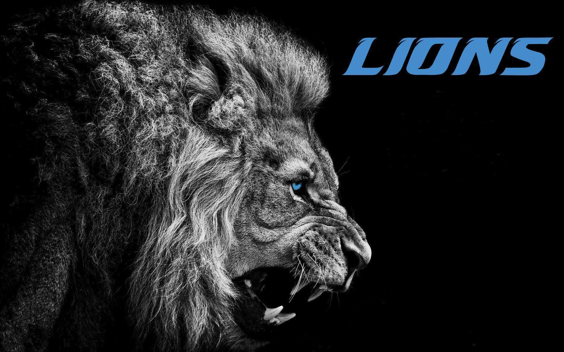 Detroit Lions Wallpapers and Background Images   stmednet